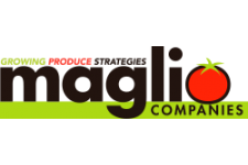Maglio Companies
